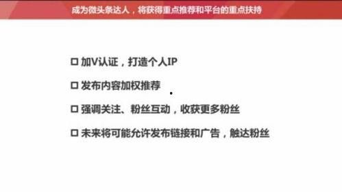 頭條到底推薦啥文章,揭秘?zé)衢T話題背后的秘密