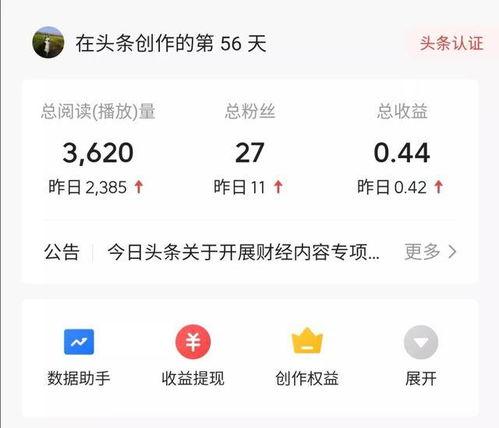 今日頭條沒有收益嘛,揭秘?zé)o收益背后的真相與應(yīng)對(duì)策略